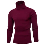 Casual-Men-Turtleneck-Sweater-Autumn-Winter-Solid-Color-Knitted-Slim-Fit-Pullovers-Long-Sleeve-Knitwear-Warm-5
