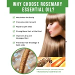 Rosemary-Hair-Growth-Oil-Fast-Growing-Anti-Hair-Loss-Essential-Oil-Repair-Damage-Baldness-Scalp-Hair-3