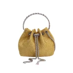 Women-Clutch-Bag-Fashion-Drawstring-Women-Bag-Round-Handle-Hand-Bags-For-Women-2023-New-Style-5