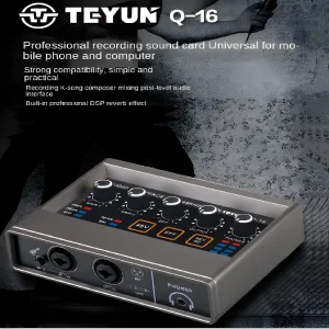 TEYU-Q-16-Audio-Interface-Sound-Card-16-bit-48KHz-Converter-Electric-Guitar-Live-Recording-Professional
