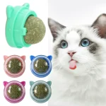 1Pcs-Natural-Catnip-Cat-Wall-Stick-on-Ball-Toy-Treats-Healthy-Removes-Hair-Balls-to-Promote