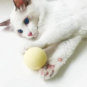 2022-New-Cat-Squeaky-Catnip-Toys-Interactive-Kitten-Training-Toy-Pet-Playing-Ball-Cats-Supplies