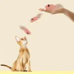 Cat-Toys-Pet-Toys-Mopping-Mouse-Toy-Cat-Plush-Feather-Built-In-Bell-Natural-Harmless-Bite-5